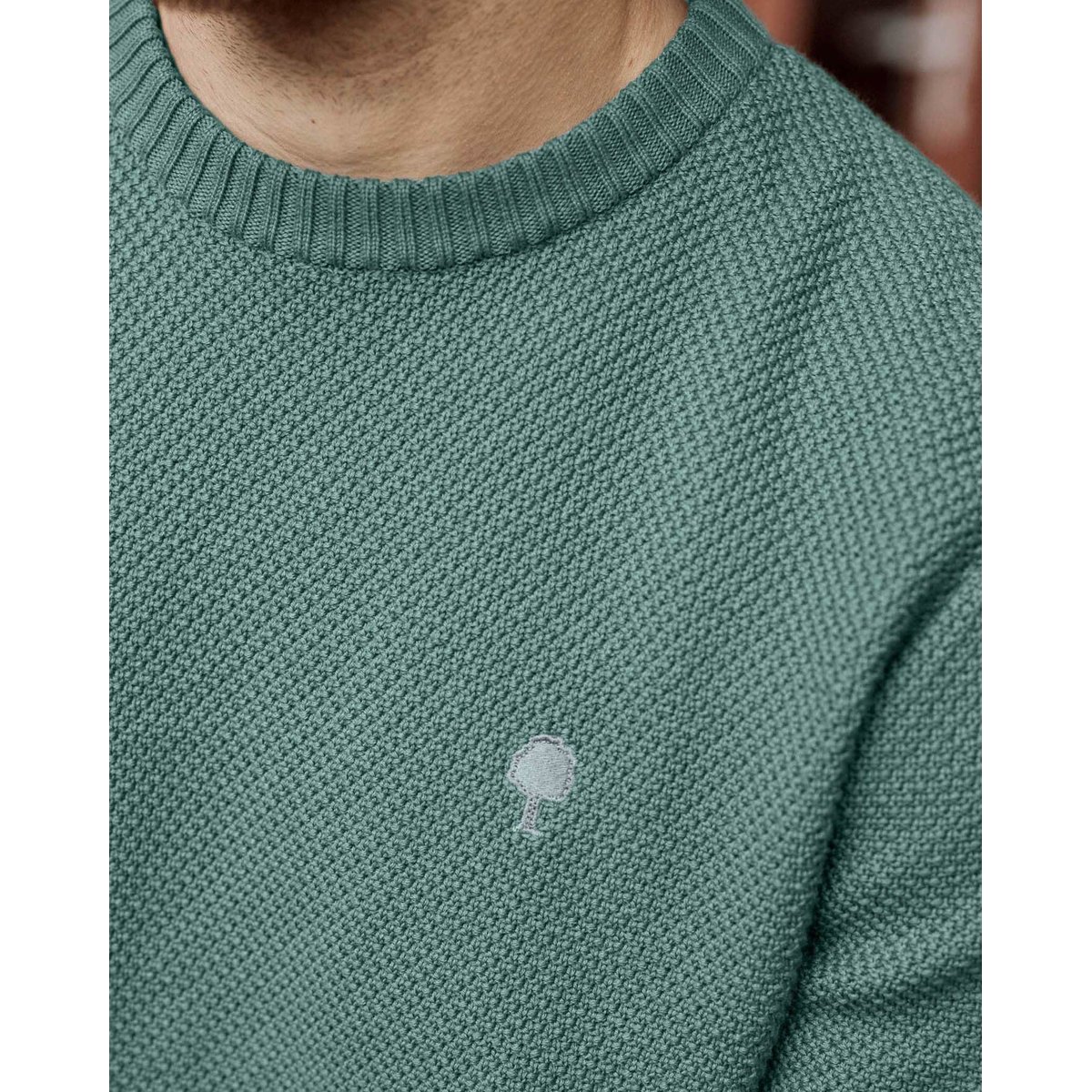 Pull broderie arbre OPALE vert d'eau, FAGUO