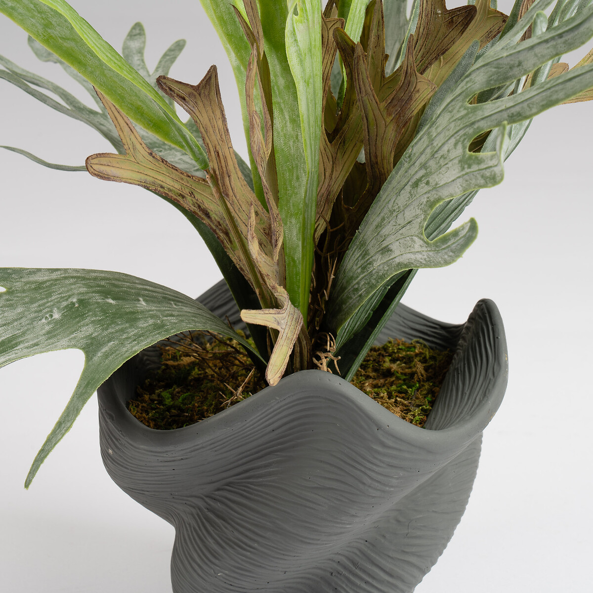 53cm Artificial Sea Greens in Cement Shell Pot green, SO'HOME