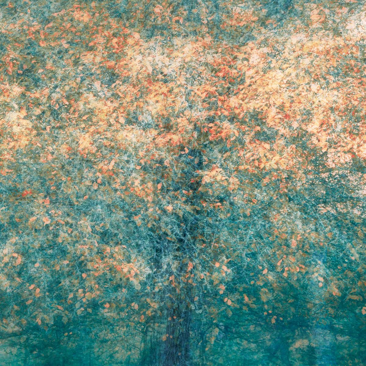 Papier peint panoramique Forêt Bleue vert, HEXOA
