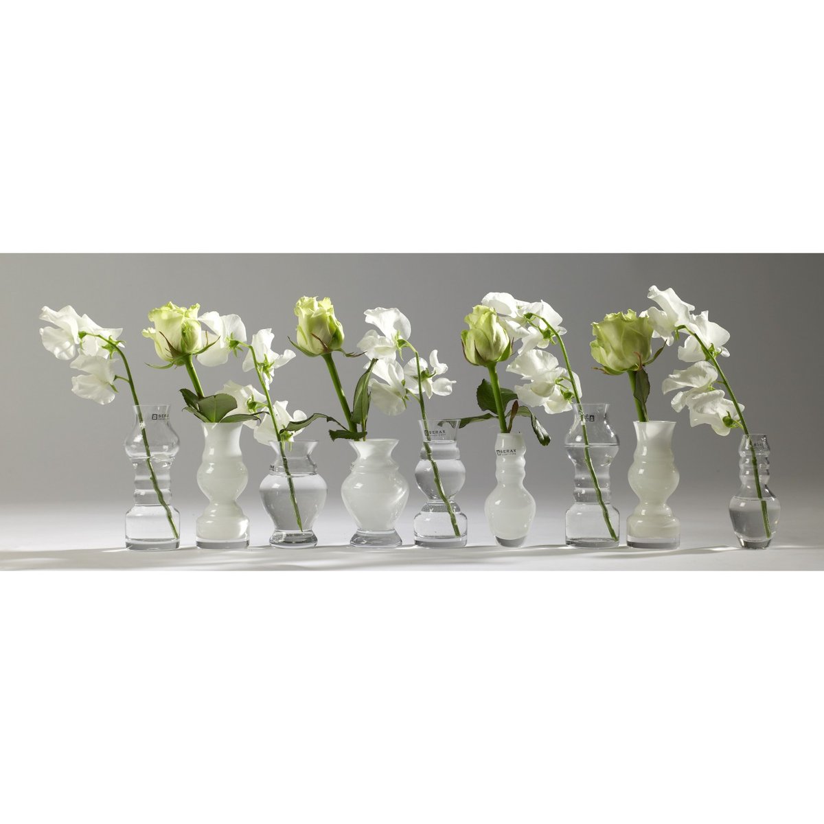 6 Vases Soliflores Transparents Rene Barba transparent, SERAX