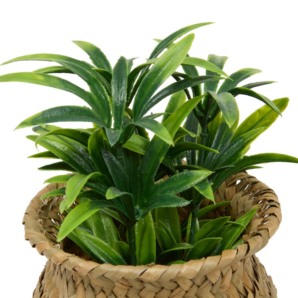 Plante artificielle JIL modèle a, ATMOSPHERA