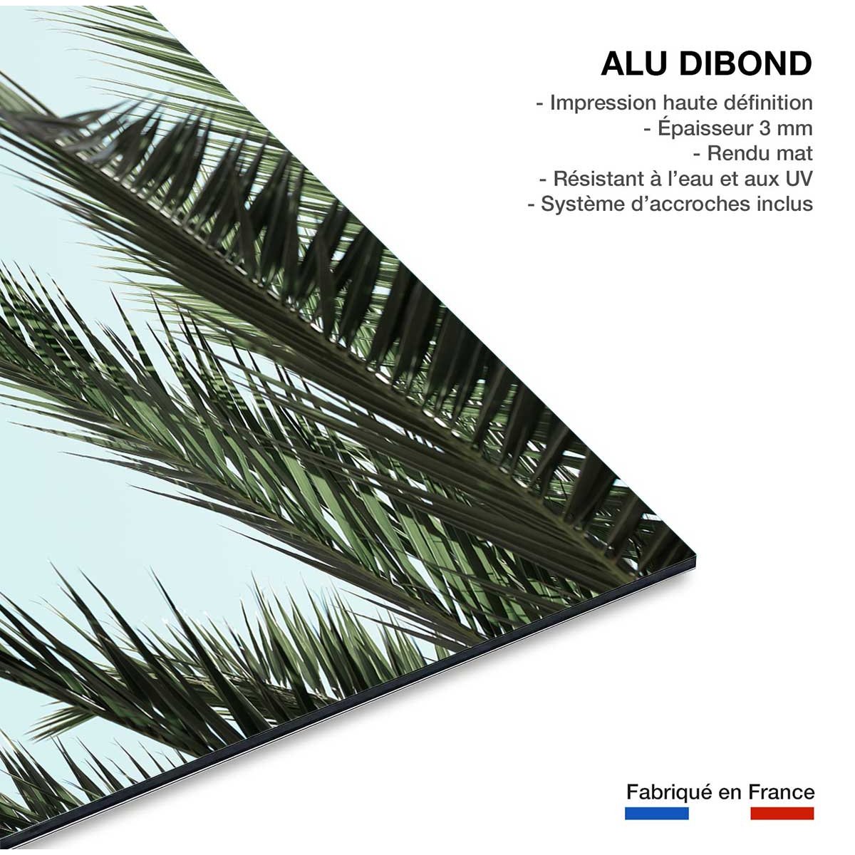 Tableau palme bleue tableau alu dibond, HEXOA