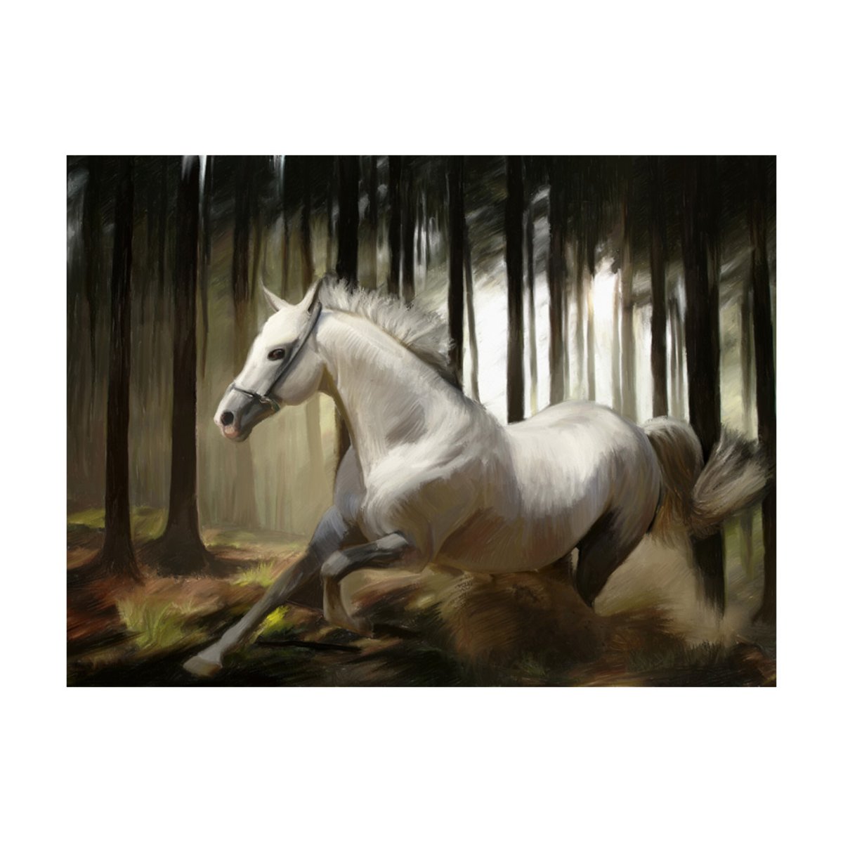 Papier peint intissé panoramique Animaux La course du cheval blanc gris / argent, EDEN