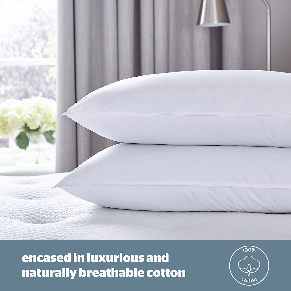 Pure Cotton Pillow Pair white, SILENTNIGHT