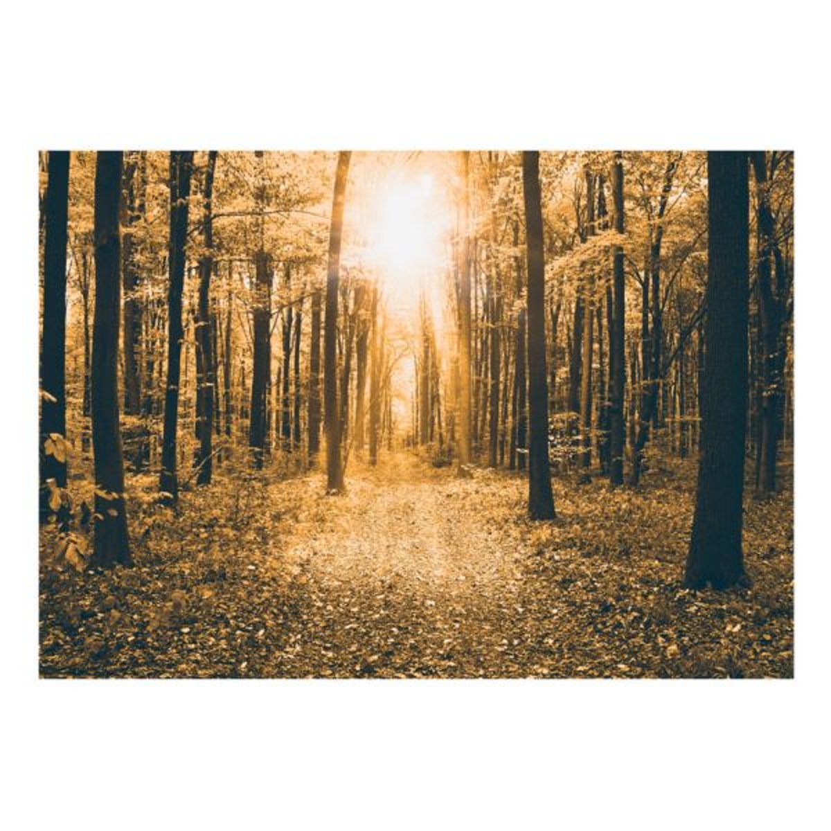 Papier peint intissé panoramique Paysage Magical Light multicouleur, EDEN
