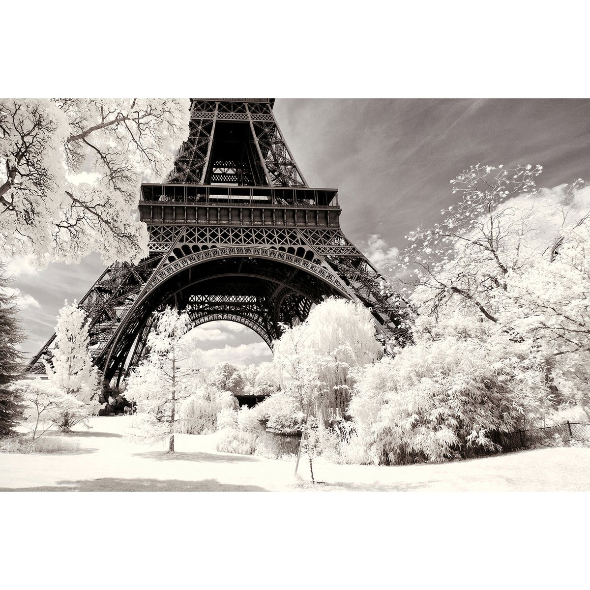 Tableau paris winter white la tour eiffel tableau alu dibond, HEXOA
