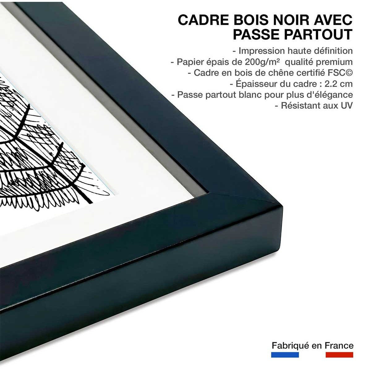 Poster landes fougères affiche + cadre en bois - noir, HEXOA