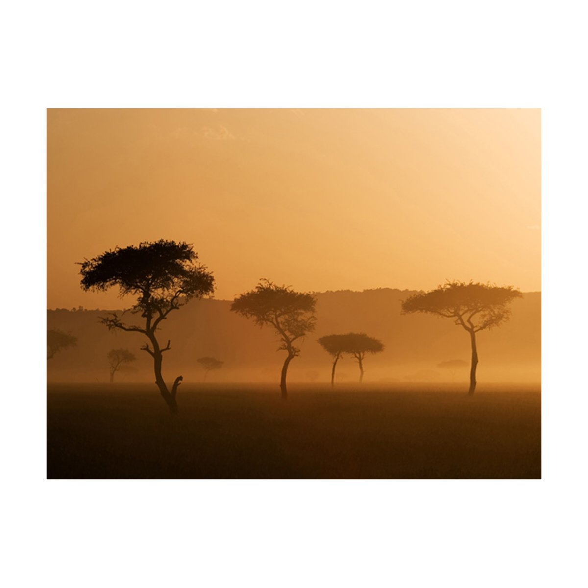 Papier peint intissé panoramique Paysage Massai Mara multicouleur, EDEN