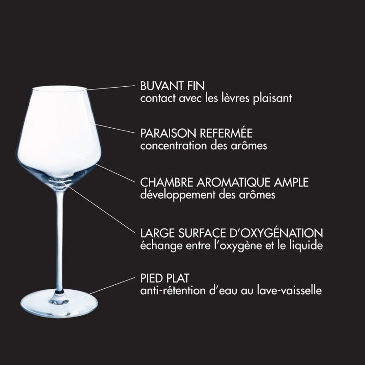 Lot de 4 verres à pied 29cl - SIRIUS transparent, COUZON