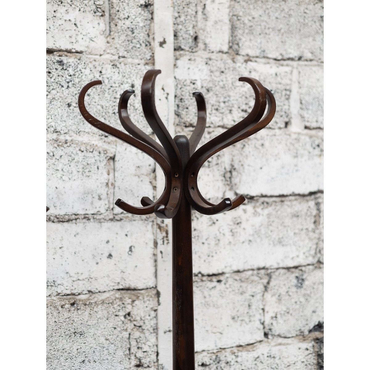 Porte-manteau Baumann Max N°394 - Bon état marron, DEBONGOUT