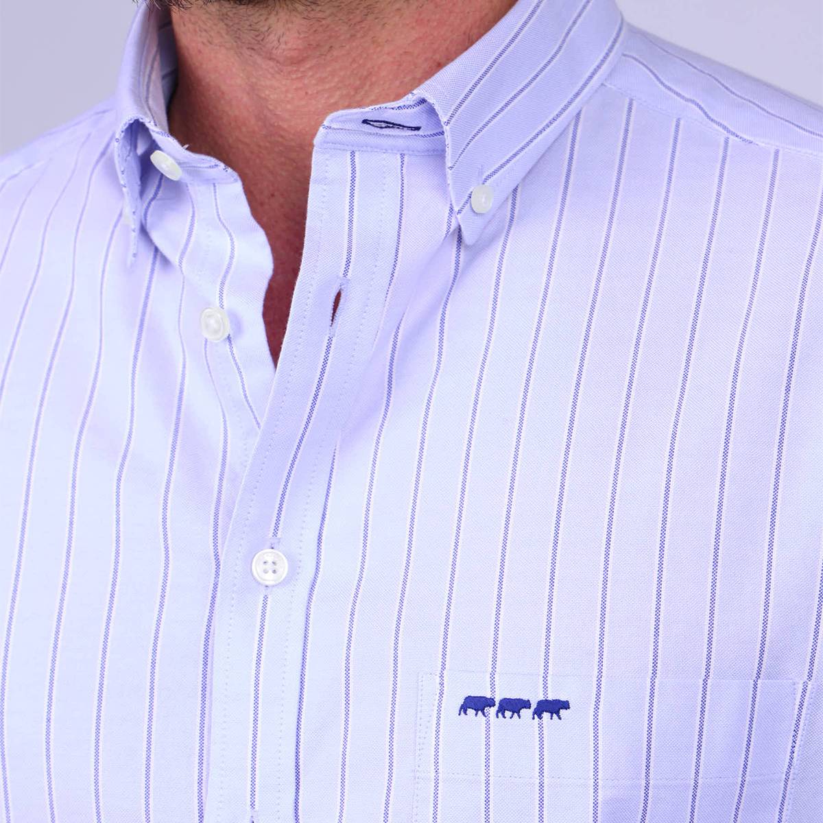 Chemise rayée bleu ciel, MISE AU GREEN