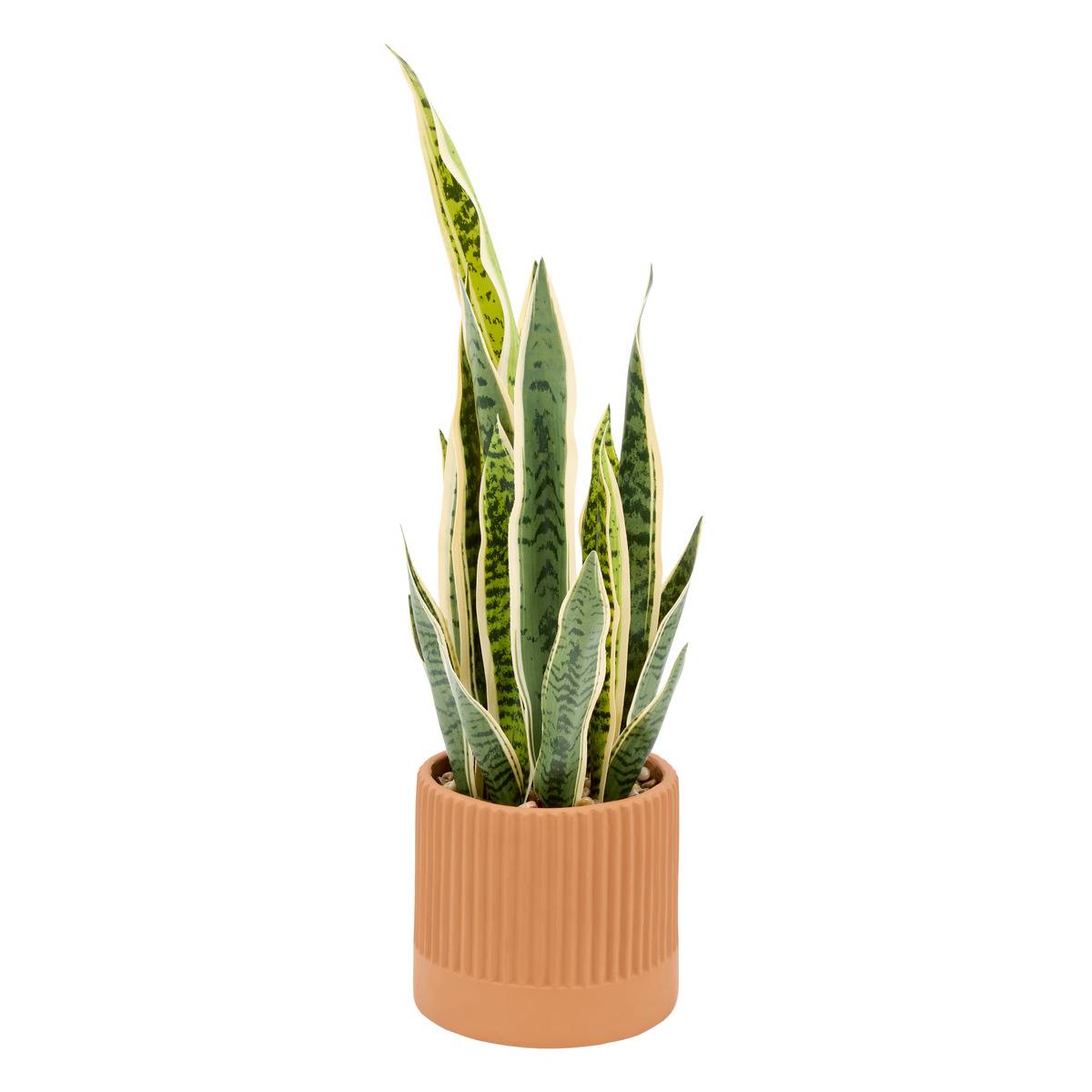 Plante artificielle NIPPO marron, ATMOSPHERA