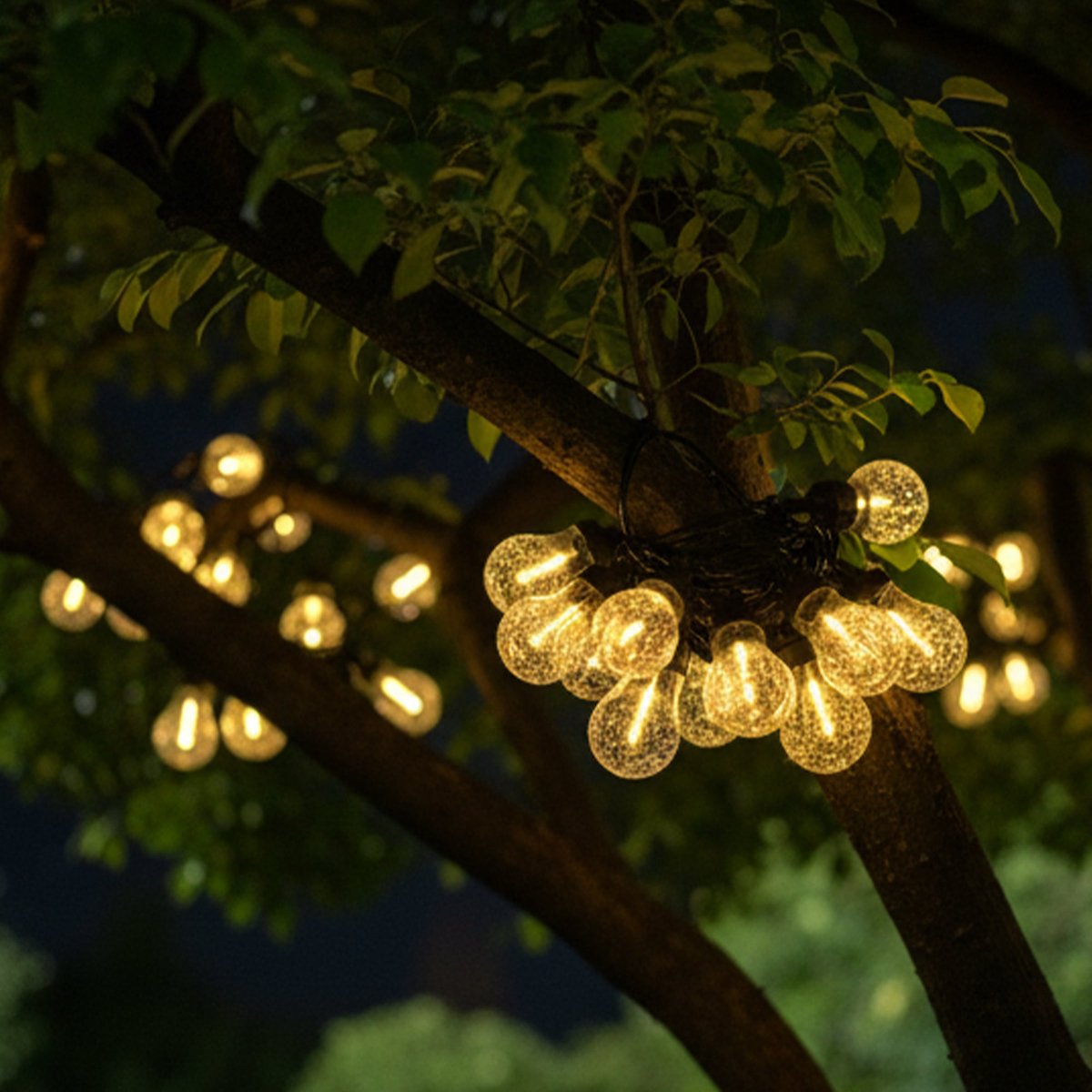 Guirlande Solaire BUBBLE transparent, LUMISKY