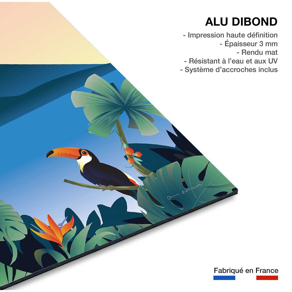 Tableau voyage Volcan du Costa Rico tableau alu dibond, HEXOA