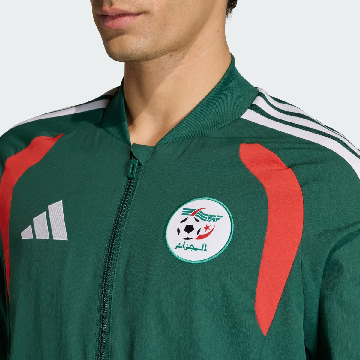 Veste De Présentation Algérie 26 team dark green, adidas Performance