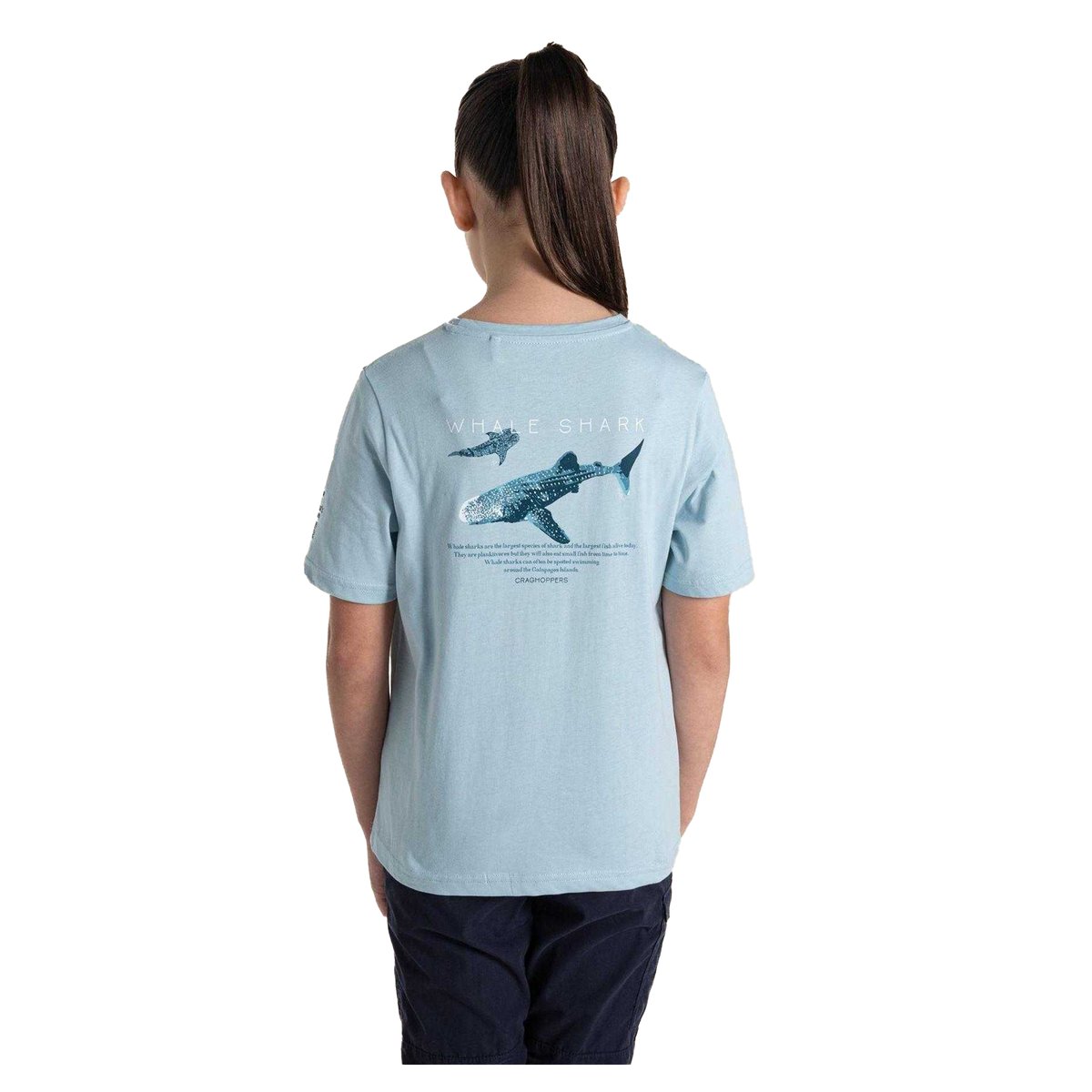 T-shirt manches courtes motif/style requin-baleine ELLIS bleu ciel, CRAGHOPPERS