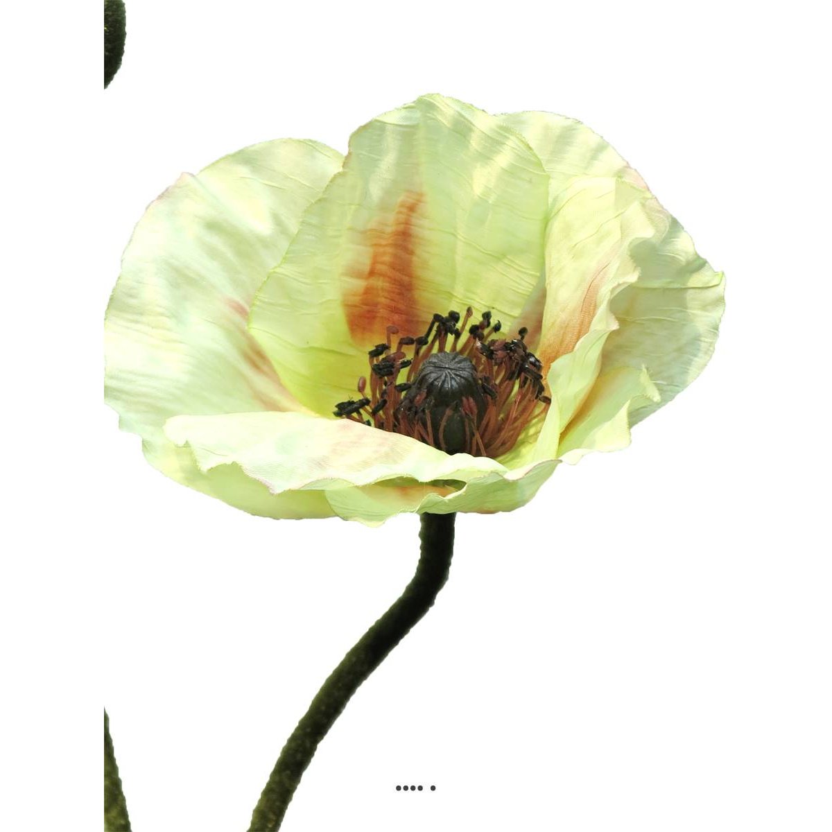 Pavot factice H60cm 1 fleur & 1 bouton Super crème vert, ARTIFICIELLES
