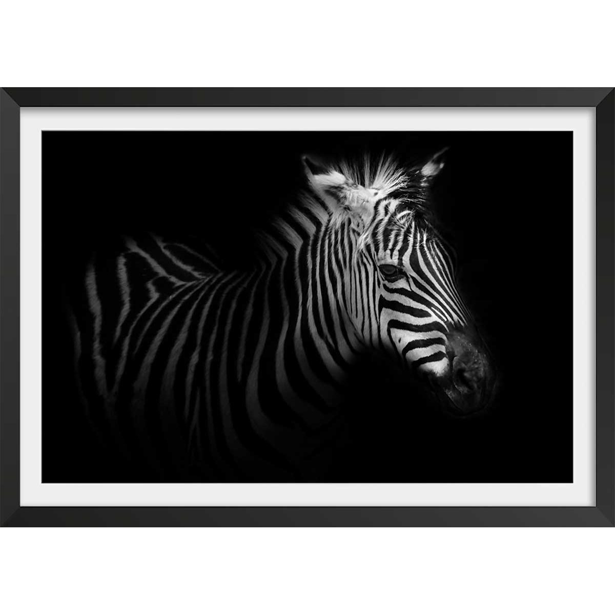Affiche zebre dans la lumière affiche + cadre en bois - noir, HEXOA