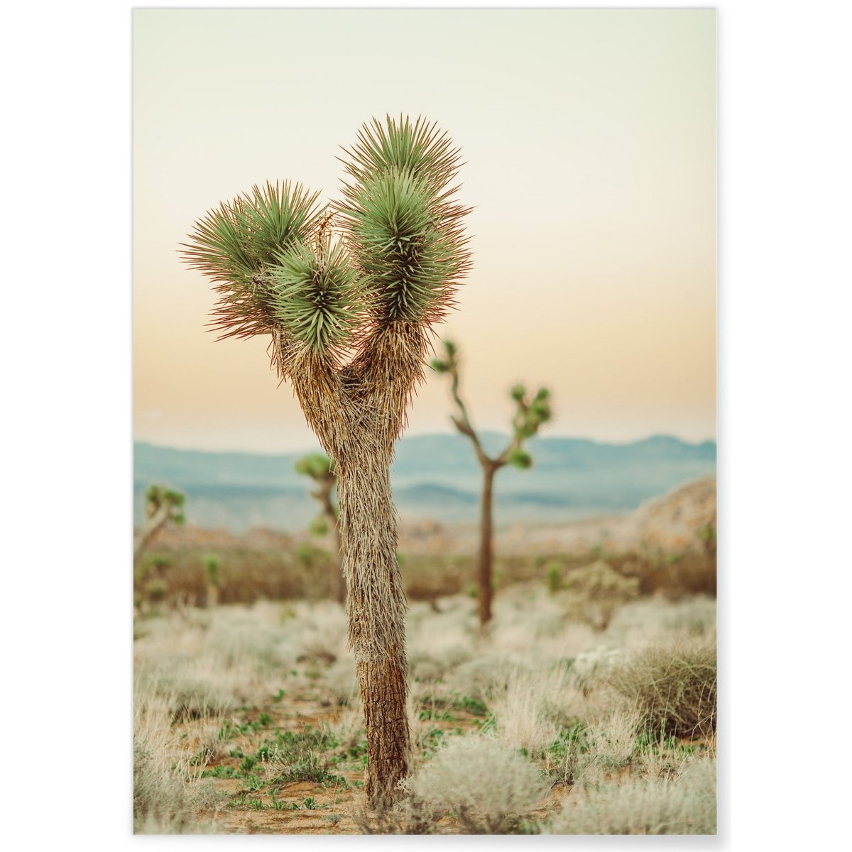 Poster Nature Desert 4 blanc, L'AFFICHERIE
