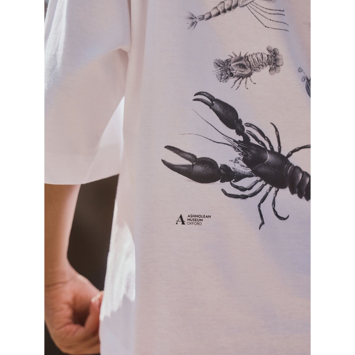 T-shirt à manches mi-longues licence officielle blanche ashmoleon, NEXT