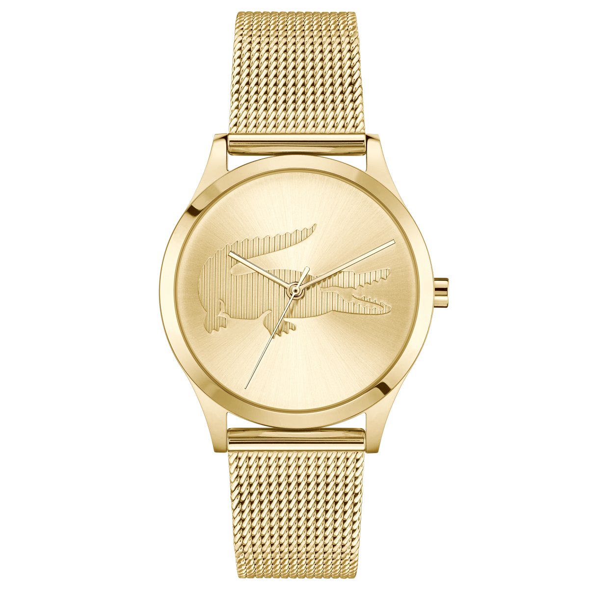 Montre Analogique CROCODELLE doré doré doré, LACOSTE
