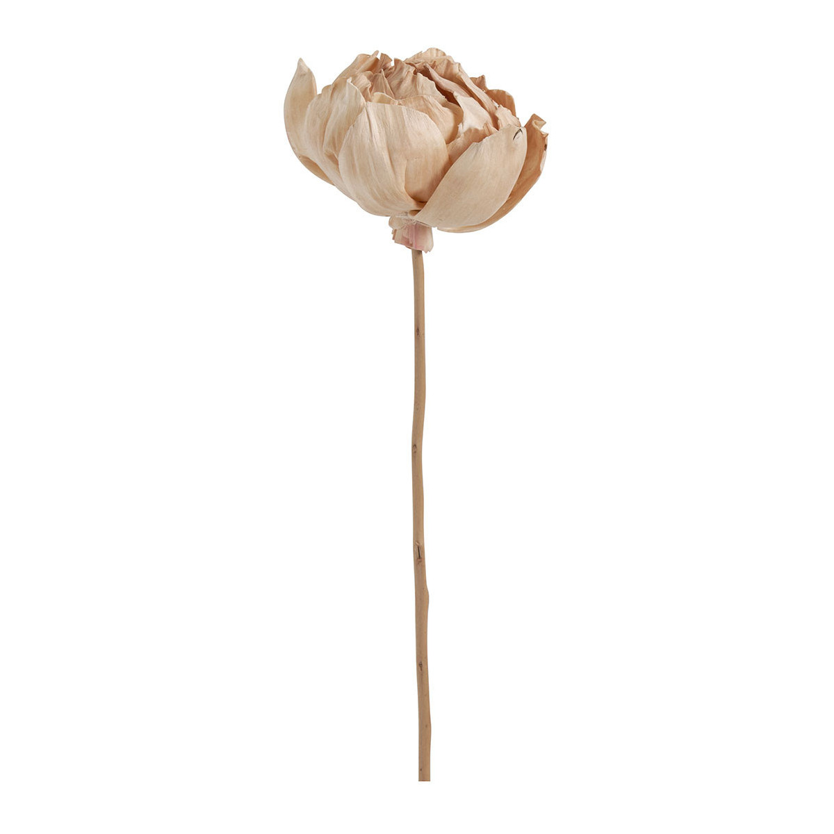 Bouquet de 3 déco végétales séchées rose, MATHILDE M