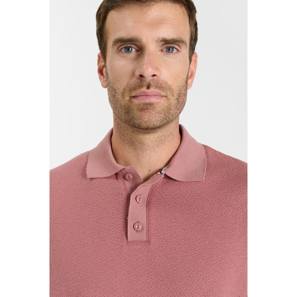 Polo ETOX terra, LE TEMPS DES CERISES