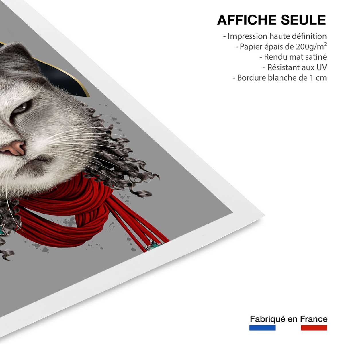 Affiche enfant chat pirate affiche seule, HEXOA