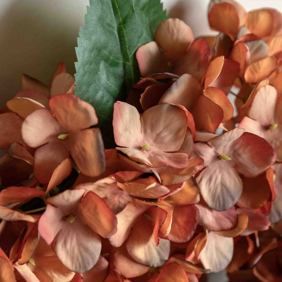 Rust Hydrangea Wreath orange, ÉDITÉ