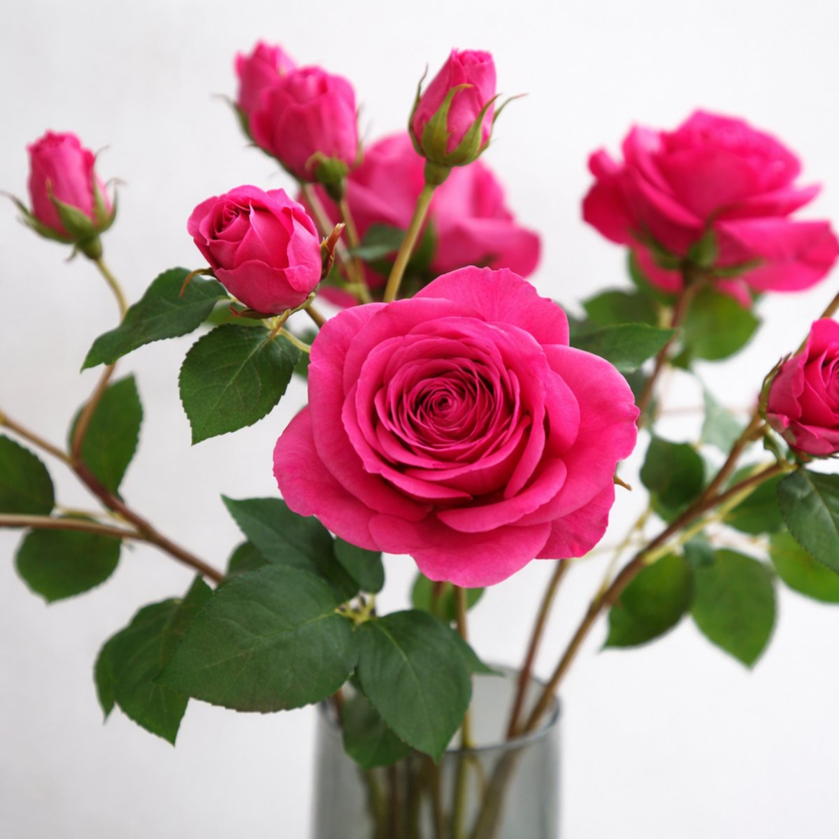 Tige de rose avec bourgeon artificielle H53 rose, SIA DECO