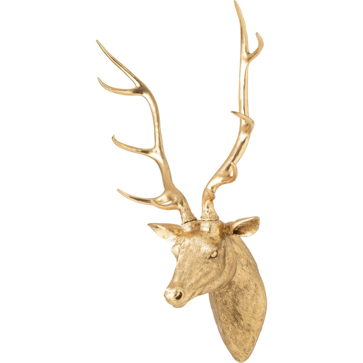 Trophée mural cerf en résine doré, RECOLLECTION