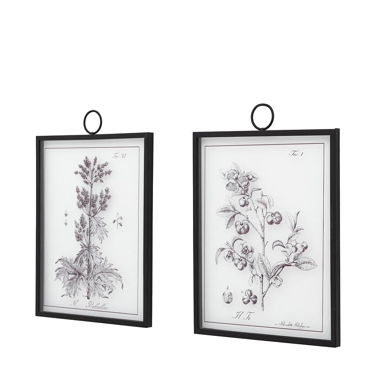 Set of 2 Petiole Art black, ÉDITÉ