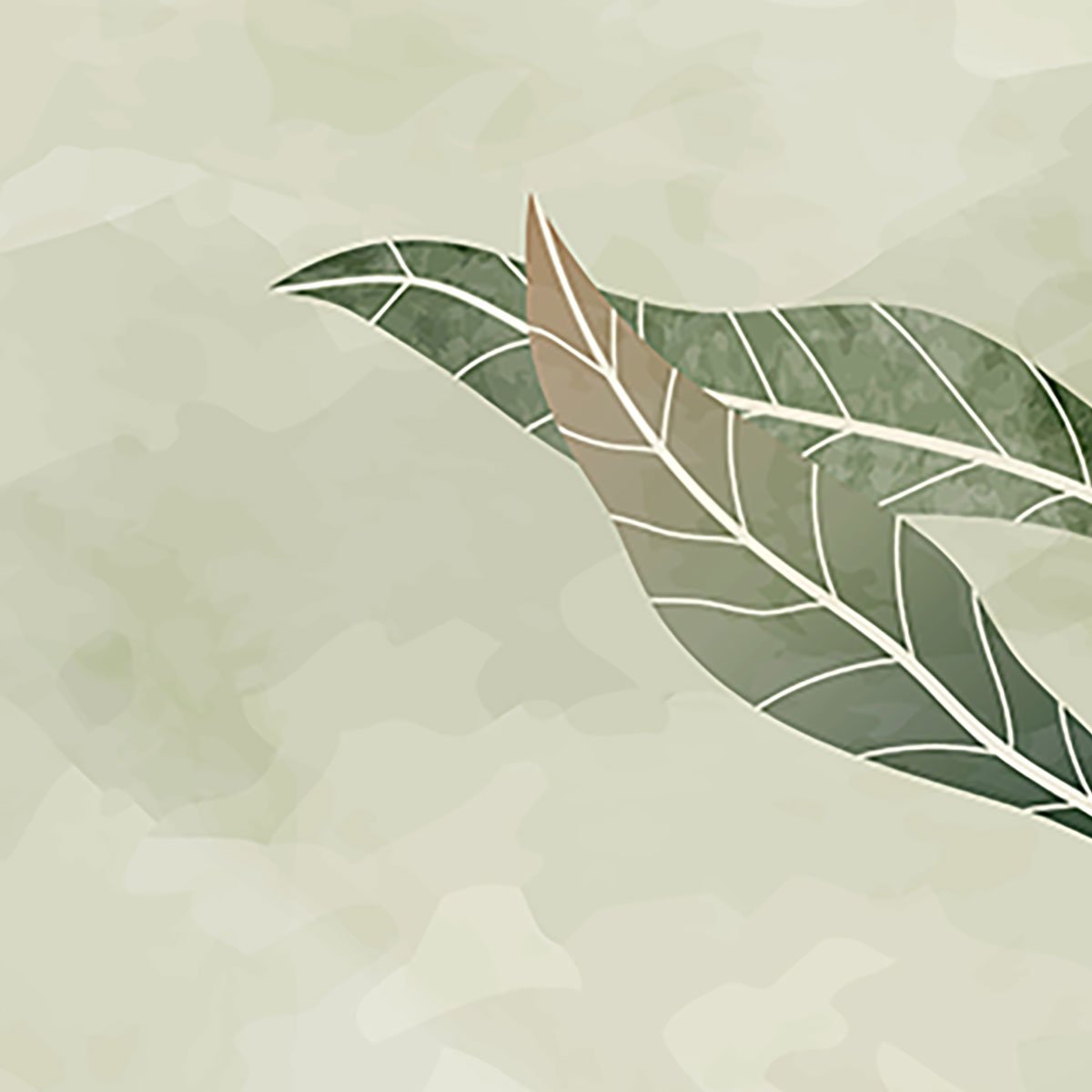 Papier peint panoramique Brume d’eucalyptus intissé, HEXOA