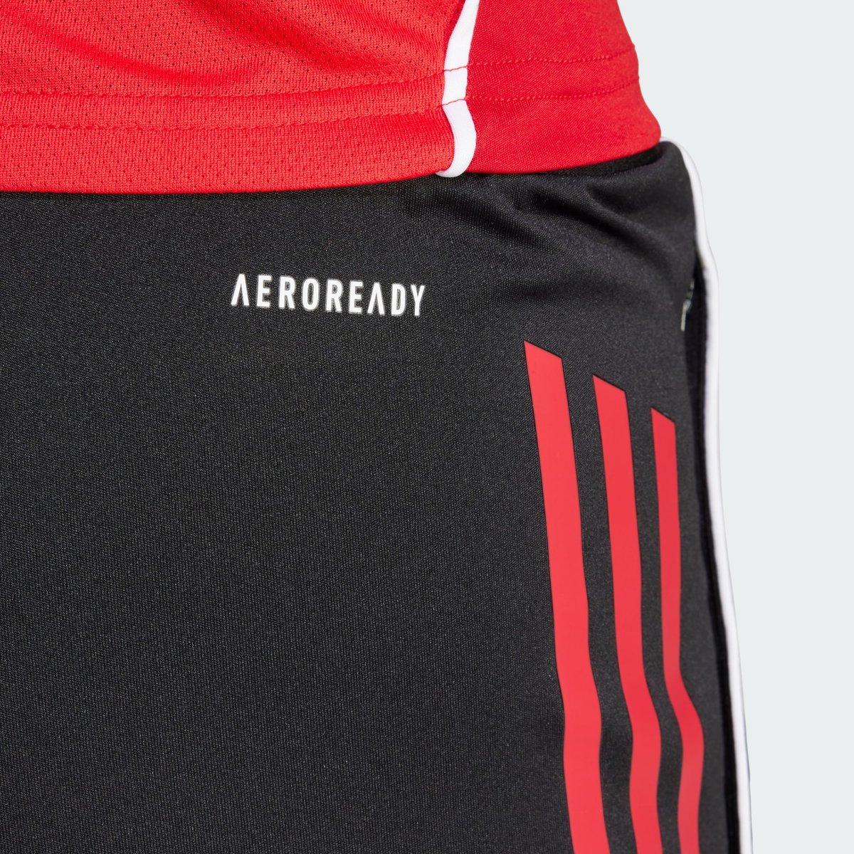 Short D'entraînement Tiro 25 Competition Short D'entraînement Tiro 25 Competition black / team power red 2, adidas Performance