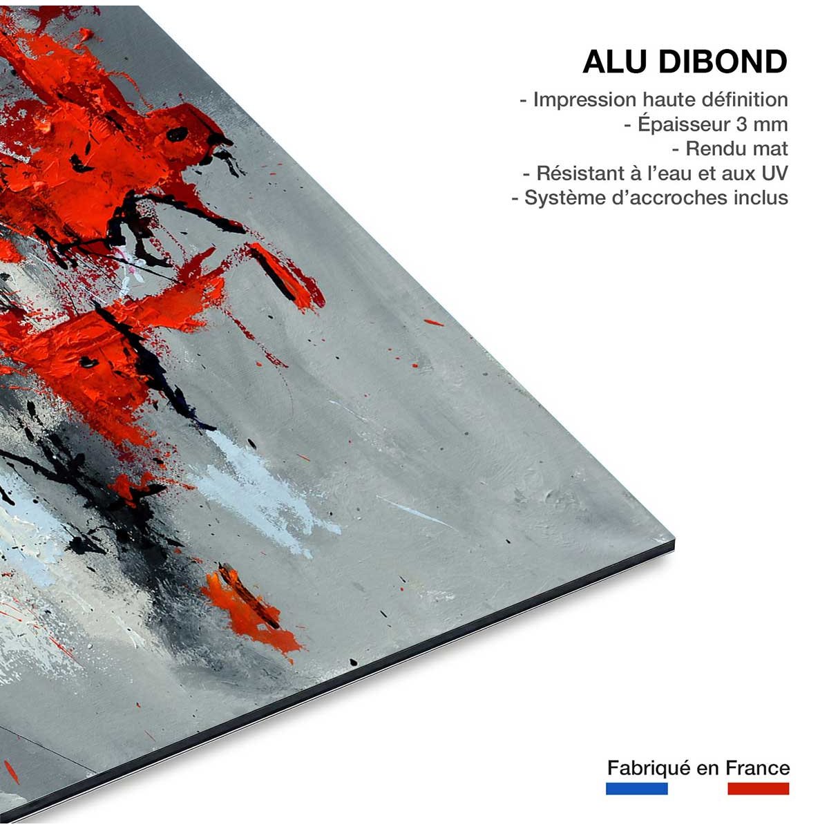 Tableau abstrait moderne coquelicots tableau alu dibond, HEXOA