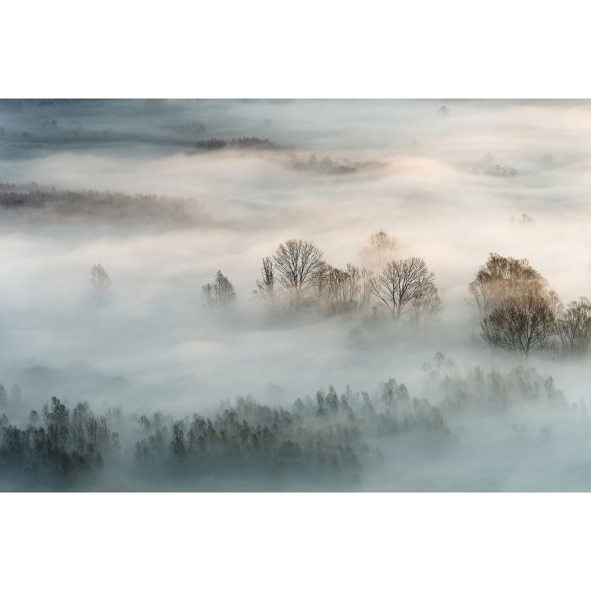 Tableau brouillard hivernal tableau alu dibond, HEXOA