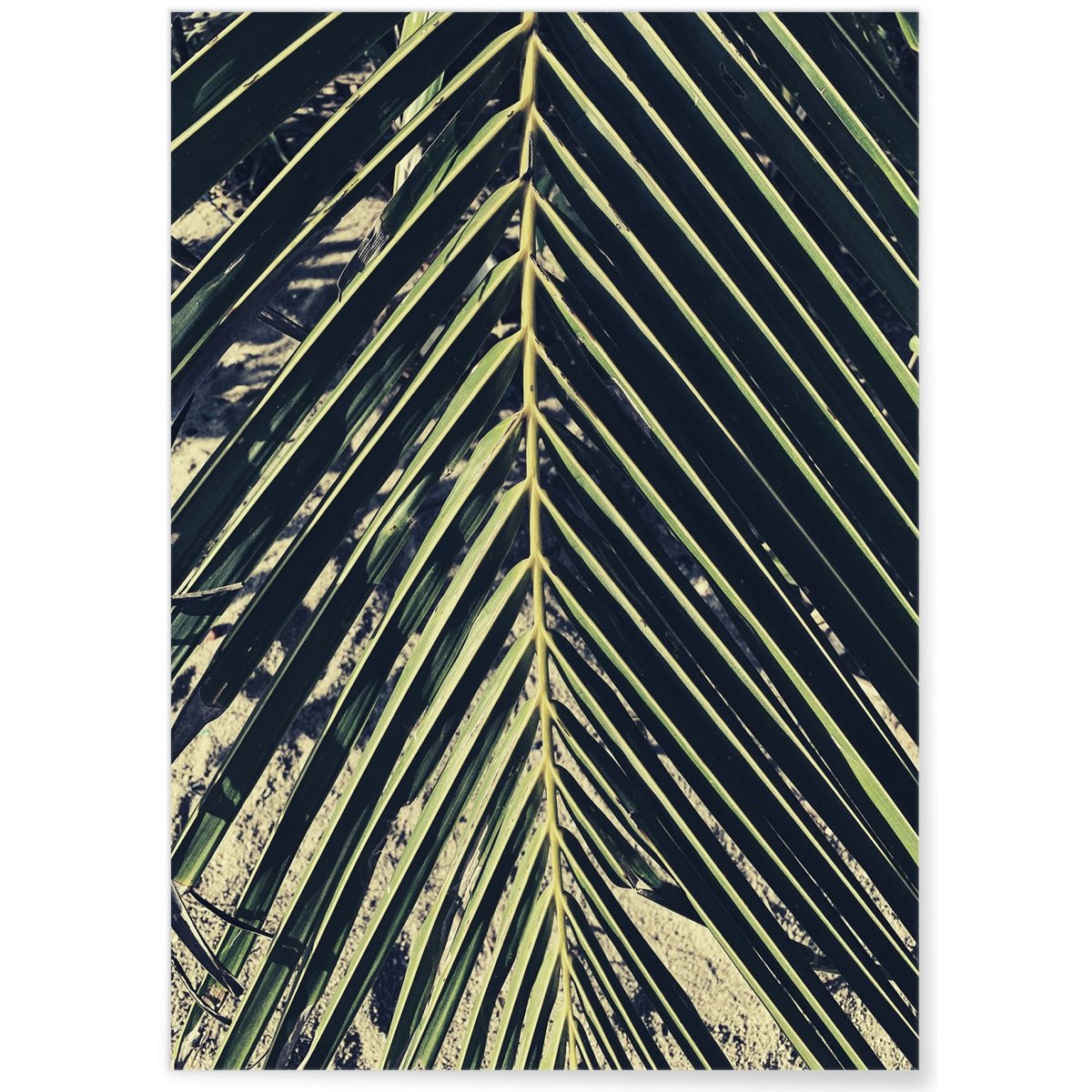 Poster nature Verte n°2 blanc, L'AFFICHERIE