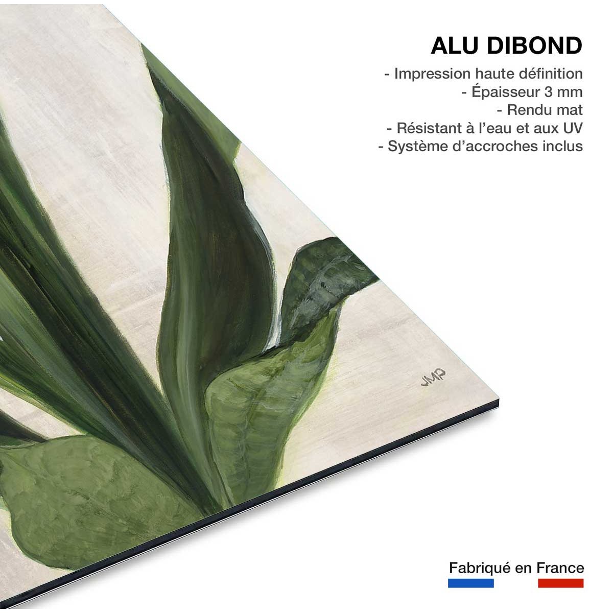 Tableau Sanseveria aquarelle tableau alu dibond, HEXOA