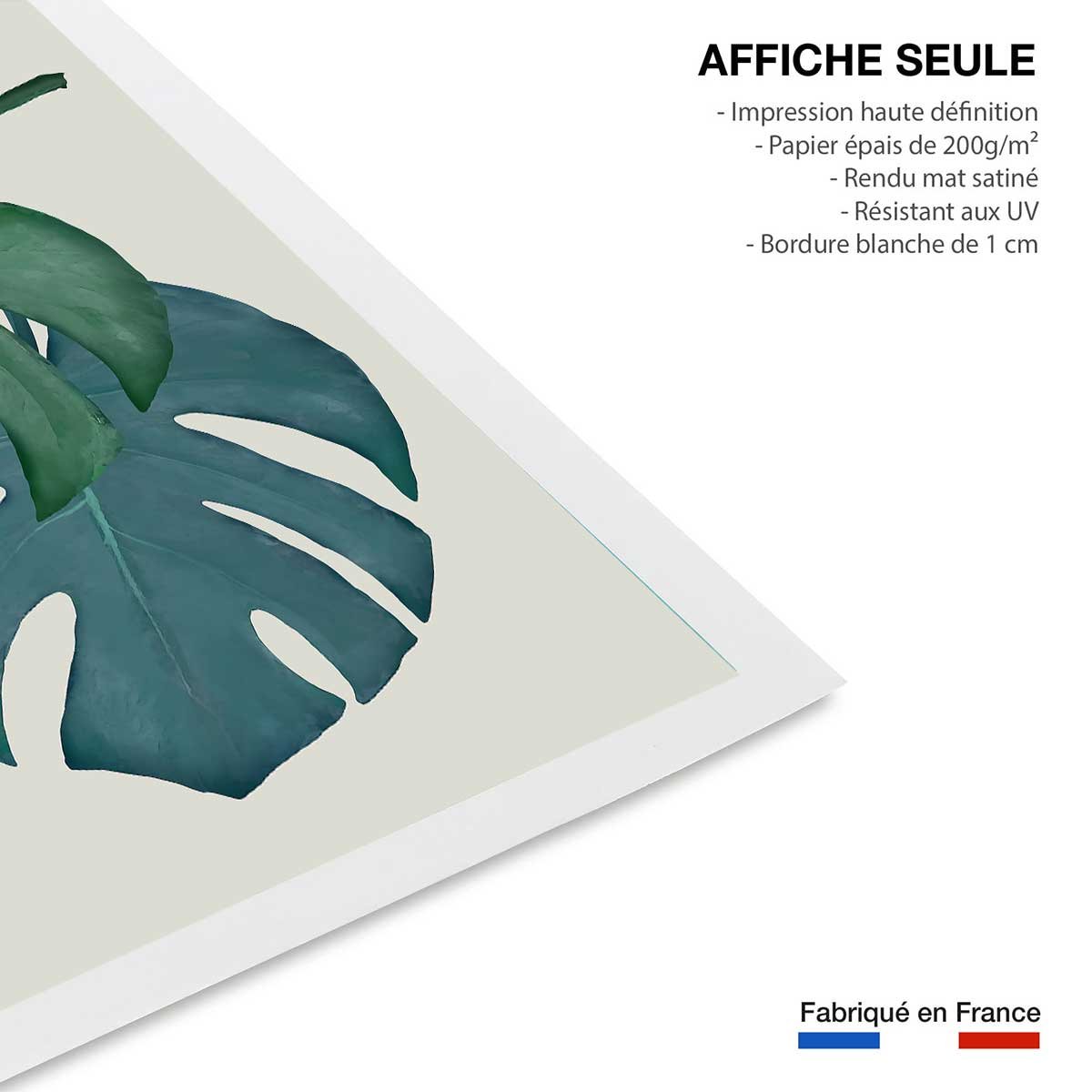 Affiche Monstera turquoise affiche seule, HEXOA
