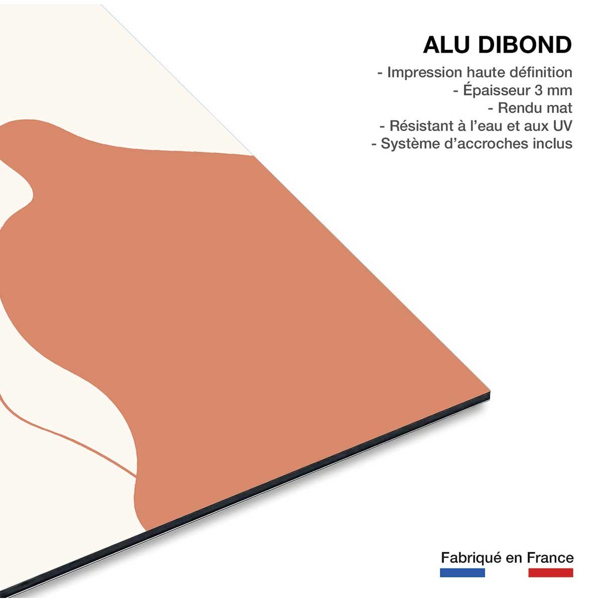 Tableau un baiser volé tableau alu dibond, HEXOA