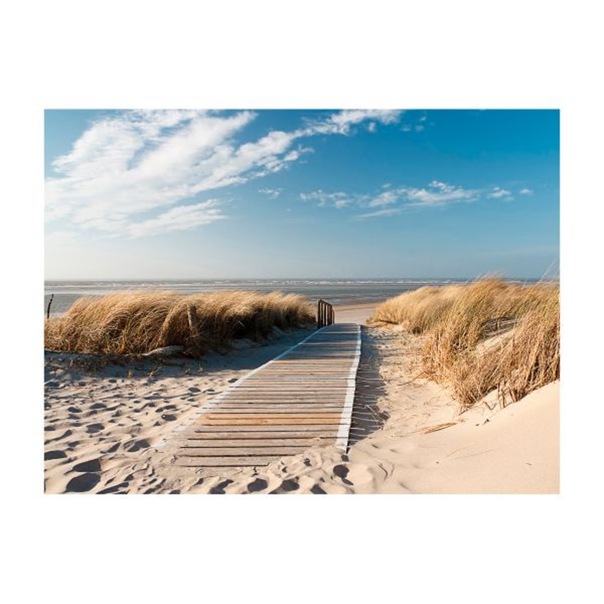 Papier peint intissé panoramique Paysage Plage - Mer du Nord, Langeoog bleu, EDEN