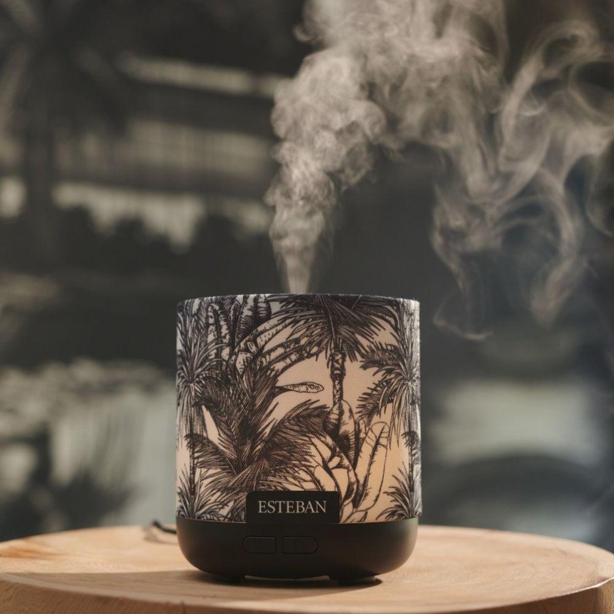 Parfum d'intérieur - Diffuseur Easy living black jungle marron, ESTEBAN