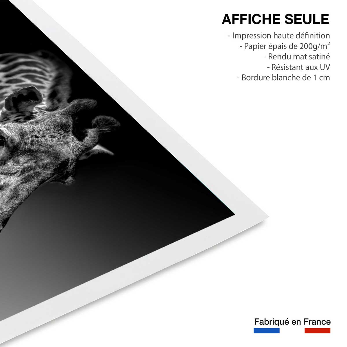 Affiche animaux girafe discrète affiche seule, HEXOA
