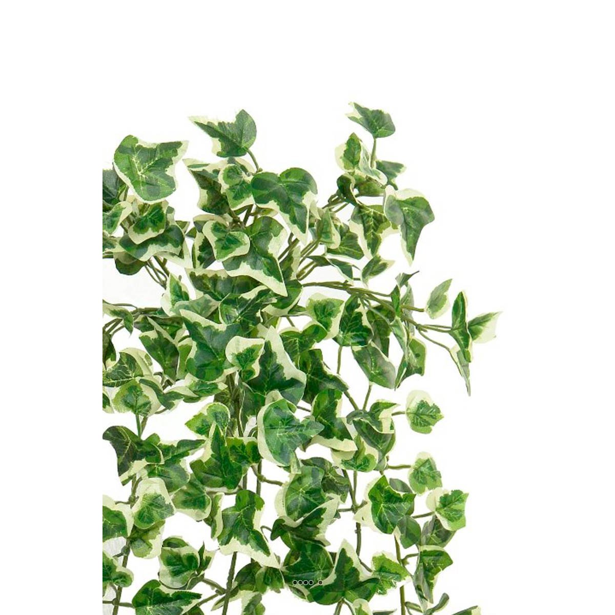 Chute de lierre artificiel L 45 cm vert-blanc v002239, ARTIFICIELLES