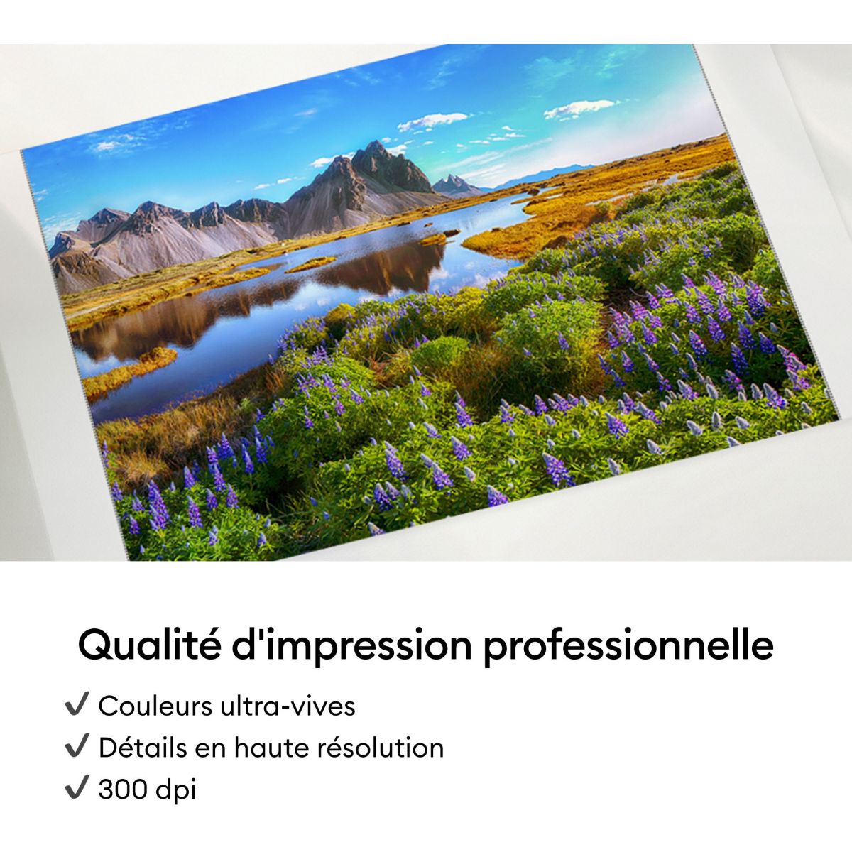 Conso Plastif Papier photo 72f blanc + 2 encres Sticke couleur unique, CRICUT