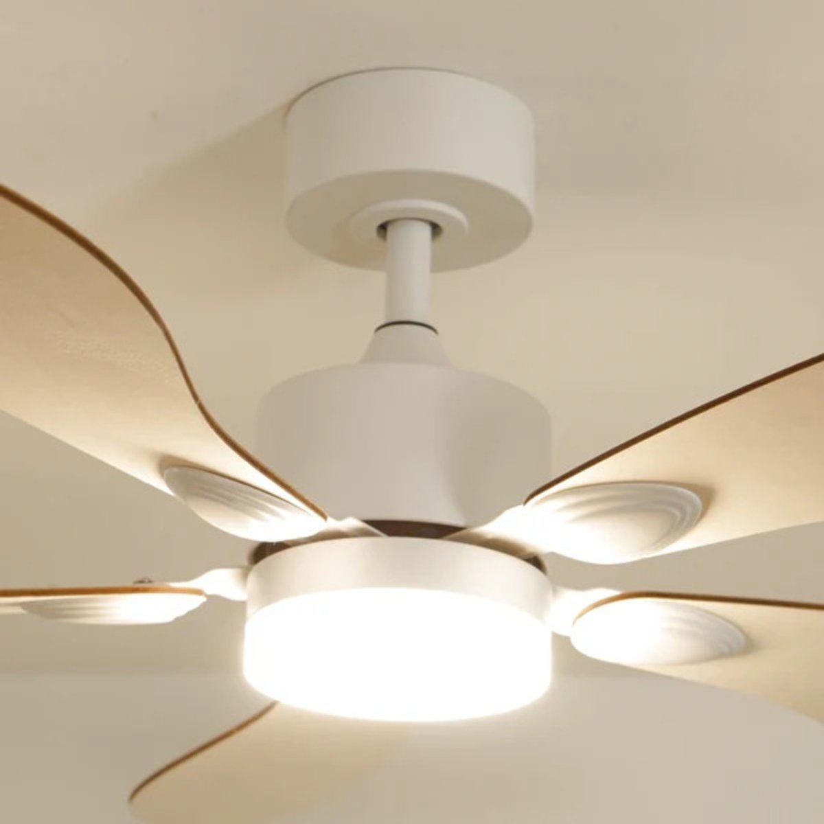 Plafonnier ventilateur en bois de peuplier LIBELLULE bois clair, ATELIER LOUPIOTE