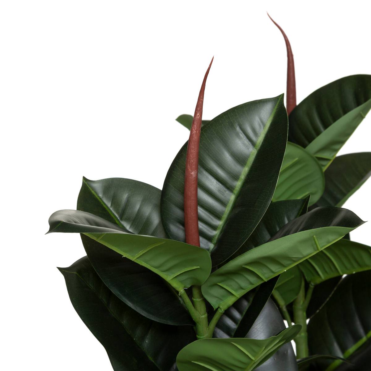Ficus robusta artificiel vert, ATMOSPHERA