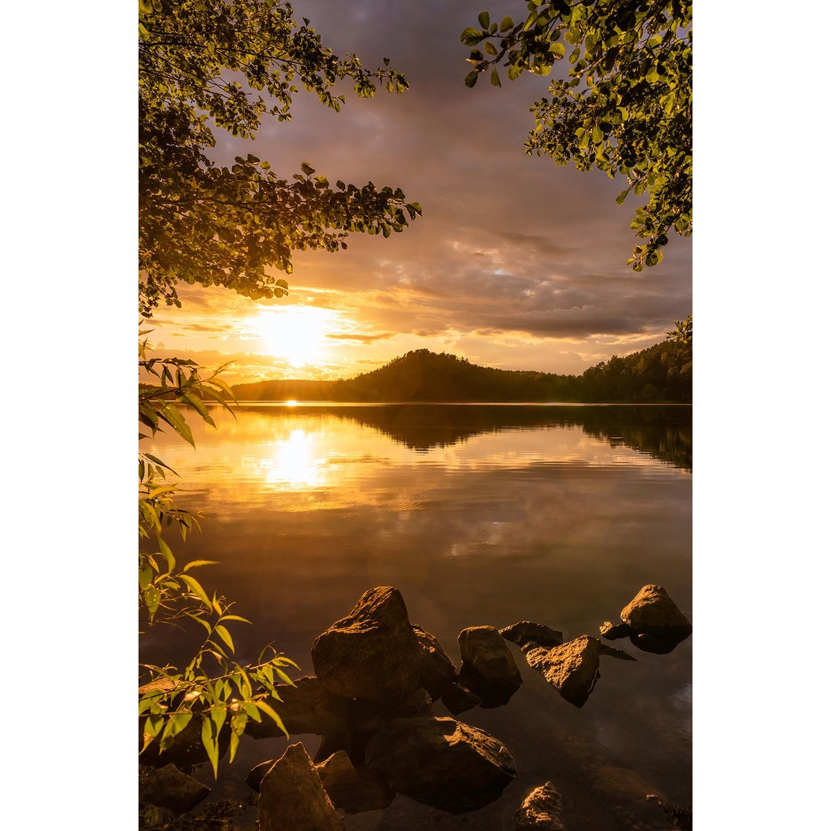 Tableau campagne coin de paradis tableau alu dibond, HEXOA
