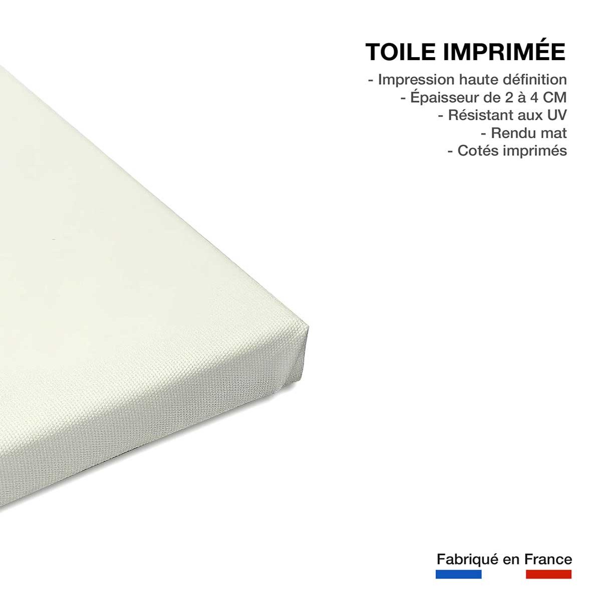 Tableau belle et sebastien toile imprimée, HEXOA
