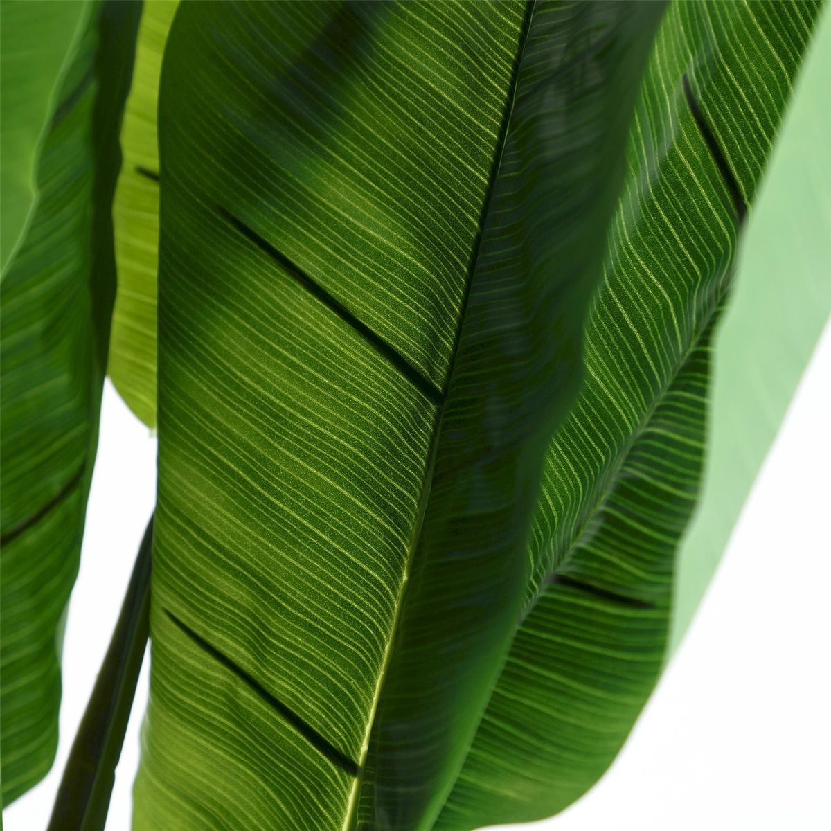 Bananier artificiel collection VACIO vert, RECOLLECTION